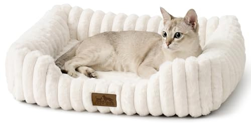 COZY KISS Orthopädisches Hundebett Kleine Hunde, Waschbare Katzenbett Beige | Hundesofa mit eierförmiger kistenschaum, wasserdichtem innenfutter, rutschfester bode, hundekorb für kleine katze und hunde
