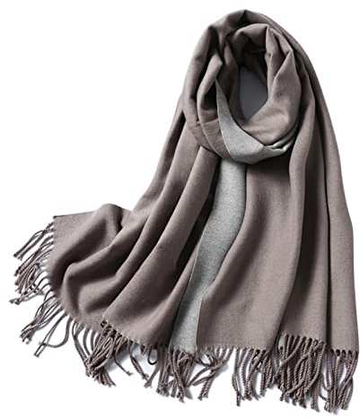Whoiy Kaschmirschal Damen Grau, Loop Halstuch Herren Doppelt Einfarbig mit Quaste Violett 200X65cm Warmer Winterscha