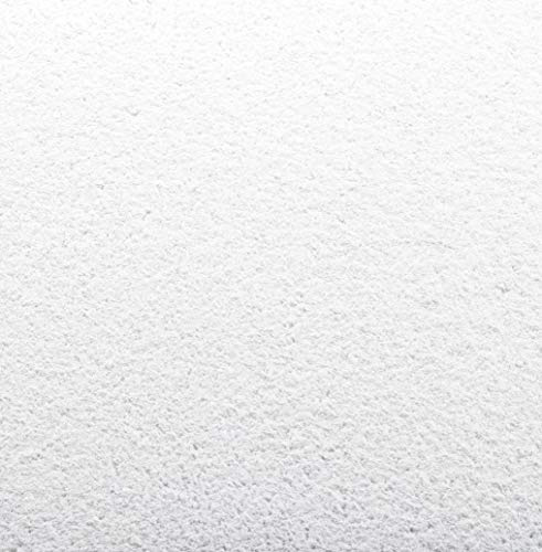 Baumwollputz Schneeweiß mit Glimmer perlmutt fein - Flüssigtapete aus weißer Baumwolle und Effektmaterialien 1kg für ca. 4m²