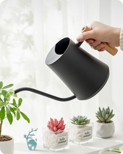 Baffect Gießkanne Klein, Gieskannen Zimmerpflanzen 1l mit Holzgriff, Gebogene Design-Gießkanne Metall mit Langer Tülle für Kleine Bonsai (Schwarz)