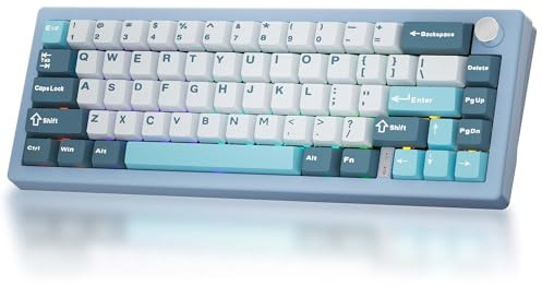 BOYI GMK67-65% Mechanical Keyboard,Gasket-Mounted HotSwap BT5.0/Type-C/2.4G Wireless South-facing RGB,Cherry Profile PBT Keycaps Linear Lubed Switches Custom Gaming Keyboard (Blue)