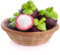 frutto del mangostano - semi piante esotiche alberi da frutto colonnari resistenti - Piante rare - giardino roccioso resistenti piante resistenti da balcone piante resistenti 10pcs