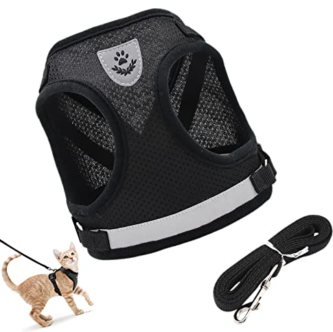 Hundegeschirr mit Leine, Geschirr für Kleine Hunde, Katzengeschirr Ausbruchsicher, Reflektierend Verstellbar Katzen Weste für Welpen, Chihuahua, Kitten, XS (Schwarz)