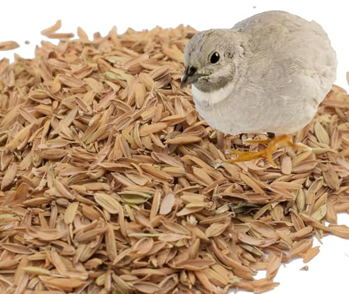 Mejale Reisspelzen Kleintierstreu, 100% natürliche Einstreu für Hamster, Wachteln, Hühner, Meerschweinchen & Co, 60L/7.5KG