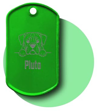 Personalisierte Hundemarke mit Gravur inkl. Kette und Silencer | Dog Tag mit Hunde-Motiv & Name | Erkennungsmarke für Halsband | Geschenk für Hundebesitzer (grün)