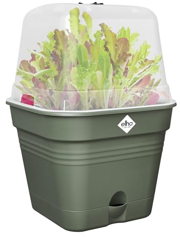 elho Green Basics Anzucht. Qua. Allin 1 15cm - Leaf Green | L 15 x B 15 x H 12.1 cm | Integrierter Untersetzer | 100% recyceltes Plastik