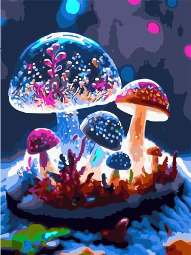 Paint by Numbers,Fantasy Mushroom Paint by Numbers for Adults Canvas Oil Painting,DIY Paint by Numbers for Children with Paint Brushes and Acrylic Painting Kit Home Decor Painting with Frame,12x16 in