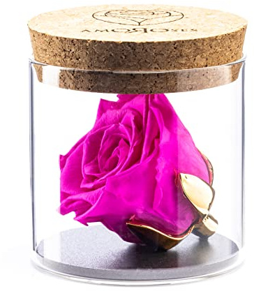 Amoroses Bijou - Rose éternelle stabilisée avec Calice plaqué Or 24K dans Un conteneur en Verre | Idée Cadeau