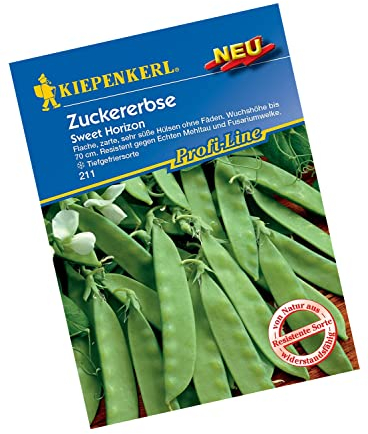 Kiepenkerl Profi-Line Zuckererbsensamen Sweet Horizon 211 - Flache, zarte, sehr süße Hülsen ohne Fäden - Wuchshöhe bis 70 cm - Erbsen, Gemüsesamen, Saat, Saatgut, Gemüsepflanzen