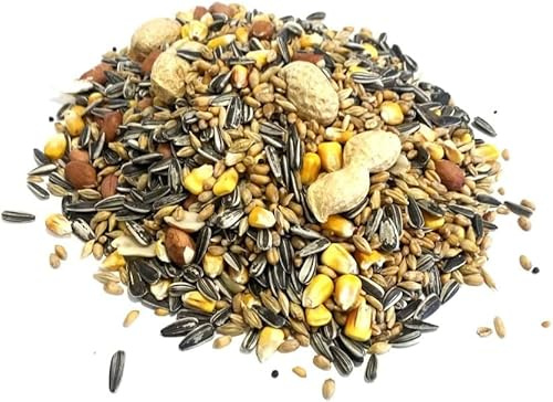 Maltbys' Stores 1904 Limited *New* Squirrel Mixture 500g Premium Wild Life Food Garden Seed Feed SMW