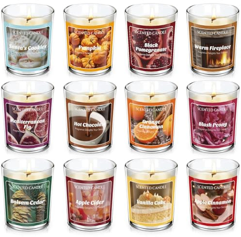 Scent-Hi Duftkerzen, 12 Stück, Natürliche Soja Aromatherapie Kerzen, 12 Düfte Weihnachts, Weihnachtskalender Geschenke für Frau Mama Schwester Freundin