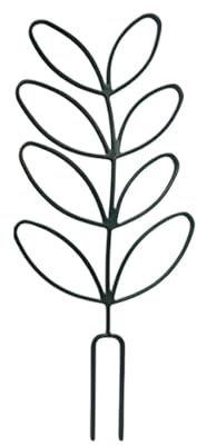 Enrejado para macetas 2 Piezas Soporte Exterior Para Hiedra Y Potos | Enrejado Para Plantas Trepadoras Hiedra, Potos, Flores, Interior Y Exterior, Hogar, Salón, Balcón, Porche, Patio, Jardín,