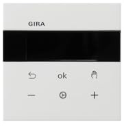 S3000 RTR Display Flächenschalter GIRA 5393112