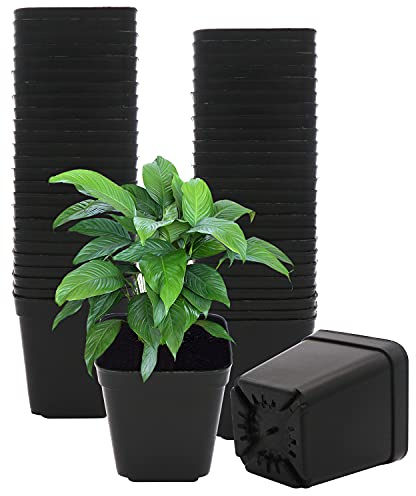 GGOUPTY Pflanzentöpfe Aus Kunststoff 50 Stück 7 cm Schwarz Plastik Vierkanttöpfe Pflanztopf Blumentöpfe Anzuchttöpfe