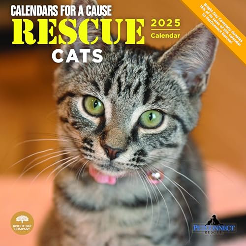 Bright Day Monats-Wandkalender 2025, Rettungskatzen, 30,5 x 30,5 cm