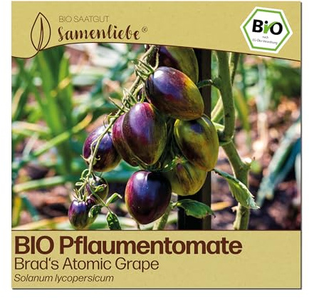 Samenliebe BIO Tomaten Samen | Pflaumentomate Brad's Atomic Grape - süß & mehrfarbig - samenfestes BIO Saatgut