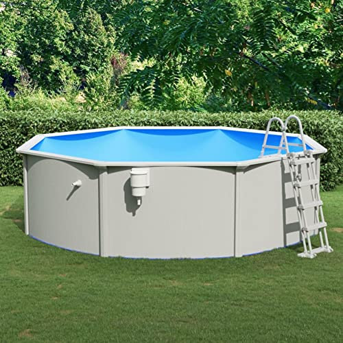 Tidyard Piscina Fuori Terra,con Scaletta,in Acciaio,PVC,Blu e Bianco,460x120 cm, da Giardino,Paio,Terrazzo, Rigida