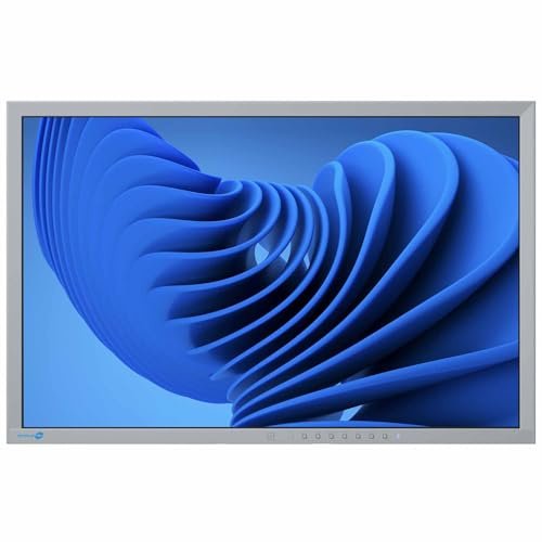 SIMPLETEK - Monitor IPS LCD da 24 16:10 - VGA DVI DP USB | Ideale per ufficio e casa | Audio Integrato | Grigio senza base (Ricondizionato)