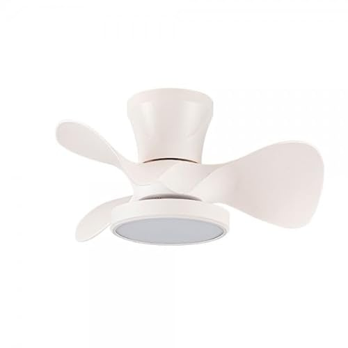 Bilake Mini Ventilador de Techo Moll | Motor DC Silencioso | Luz LED Regulable 20W con 3 Tonos | 56cm Diámetro | Mando a Distancia | Función Verano/Invierno (Blanco)