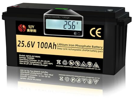 SaiJiaoYang Batería LifePO4 de 24 V y 100 Ah, batería BMS 10000 de ciclo profundo recargable de fosfato de hierro de litio con pantalla LCD, perfecta para fuera de la red, RV, sistema solar, barco