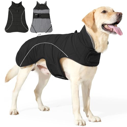 PAWIVID Vattentät hundkappa med fleecefoder, reflekterande och D-ring. Justerbar varm vinterjacka för små, medium, stora hundar utomhus camping promenad regnrock (svart, M)