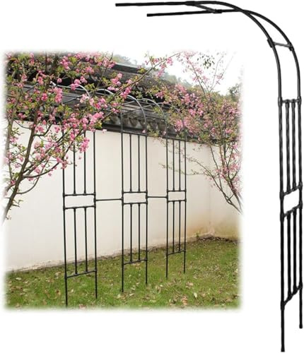 Arche de jardin pour plantes grimpantes - Treillis métallique résistant aux intempéries - Assemblage facile - Largeur 60300 cm - Hauteur 240 cm