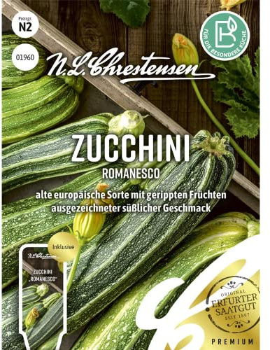 Zucchini Romanesco, alte europäische Sorte mit gerippten Früchten, Samen