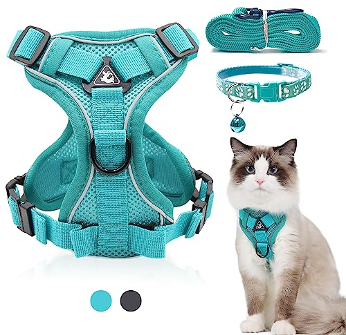FINEASY Katzengeschirr mit Leine Ausbruchsicher und Katzenhalsband, Verstellbares Katzenleine mit Geschirr, Geschirrset Cat Harness Weich Softgeschirr für Katze Kitten Hunde Brustgeschirr (Grün, S)