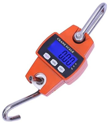 Bilancia a Gancio, Bilancia sospesa elettronica Bilancia sospesa portatile con gru sospesa industriale da 300 kg Industriale, Pesca