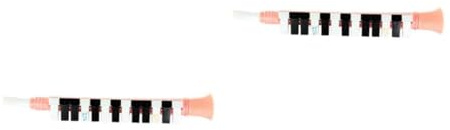 Yardwe 2 Stück Melodica Musikinstrument für Tasten Leicht zu Lernen Sicherer Pädagogisches Blasinstrument für Anfänger und Musikalische Zufällige Farbe Zufällige Farbe