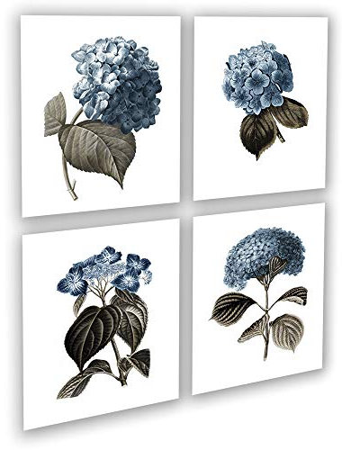 Gnosis Picture Archive Blaue Hortensien-Blumen, botanische Drucke, Set mit 4 ungerahmten Bauernhaus-Dekorationen, Wandkunst