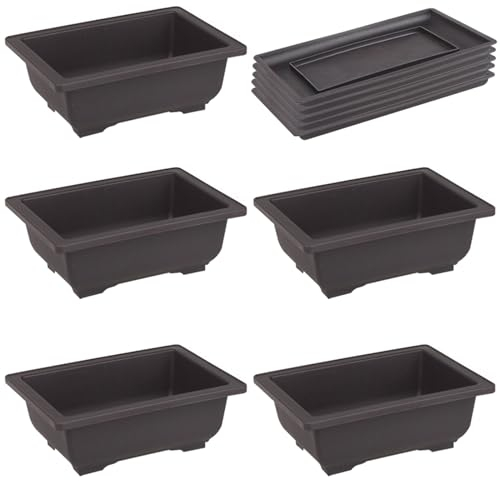 10 Pcs Bonsai Training Pots With Tray - Plastic Plant Pots for Plants, Flowers, Succulents - Grow Container for Garden, Yard, Office, Balcony