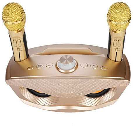 Bluetooth-Lautsprecher Home KTV Karaoke Bluetooth-Lautsprecher mit Zwei Mikrofonen Karaoke für TV Home Professional Wireless KOMPAKTES Karaoke-System Dieses Bluetooth K (Gold)