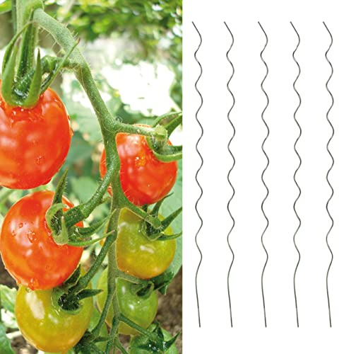 5er Set Tomatenspiralstäbe Rankhilfe 110 cm Tomaten Pflanzstäbe Spiralstäbe aus verzinktem Stahl Rankspirale Tomatenstäbe Rankstäbe