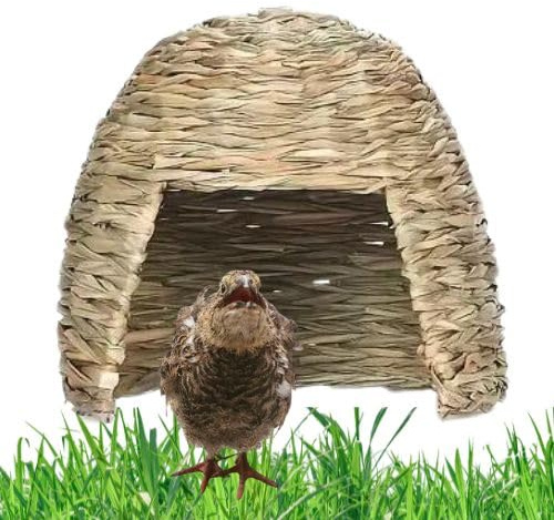 WachtelGlück® Gras-Iglu XL