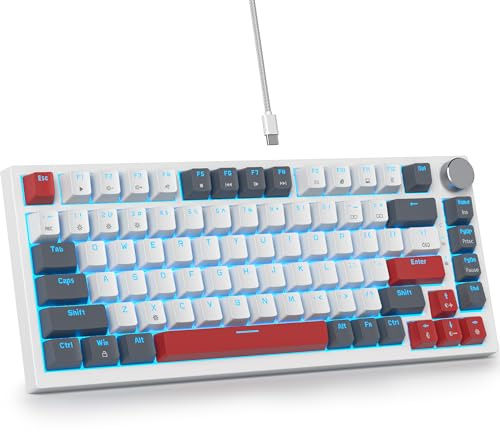 SbocKeeb V400 Custom Gaming Keyboard 75 percent Hot-Swappable, 75% Wired Mechanical RGB Keyboard with Gasket and Sound Absorbing Pads Programmable American QWERTY for Mac/Win V400 Gray white