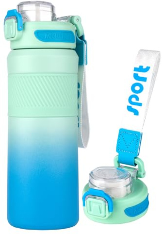 Homealexa Gourde Isotherme Bouteille Isotherme 650ml avec Paille, Acier Inoxydable Sans BPA, Anti-fuite, pour Sport, Bureau, Voyage, École