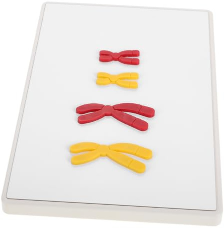 280x180mm Chromosomenveränderungsmodell Magnetisch für Unterricht | Kunststoff und Magnet, Detailreiche Darstellung, Leicht zu Reinigen, für Schüler im Biologieunterricht und Labor