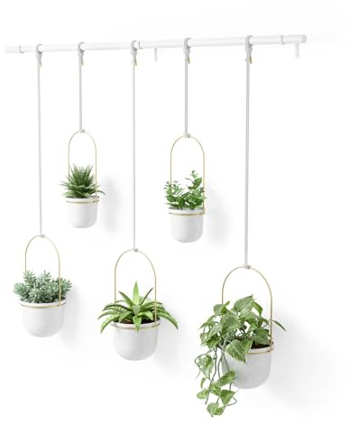 Umbra Triflora Vase, Hängeblumentopf, Wandvase, Blumenampel für Wand- und Deckenanbringung, 5er-Set, Weiss/Messing