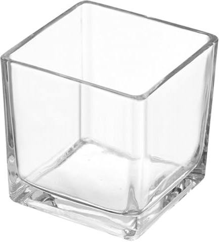 Healeved Vaso di Vetro Trasparente Quadrato 115 CM Vaso Decorativo Moderno per Succulente e Fiori Centrotavola Elegante per Casa Ufficio e Giardino Sul Balcone