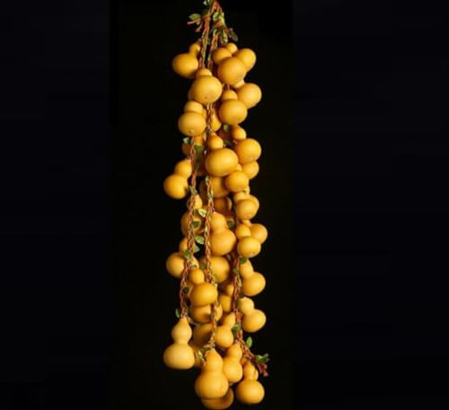 Adorno de calabaza natural china de 8 ~ 12 cm, colgante de bolsa de calabaza seca natural Feng Shui Wu Lou, 1 juego (5 en 1, WuFuLinMen)