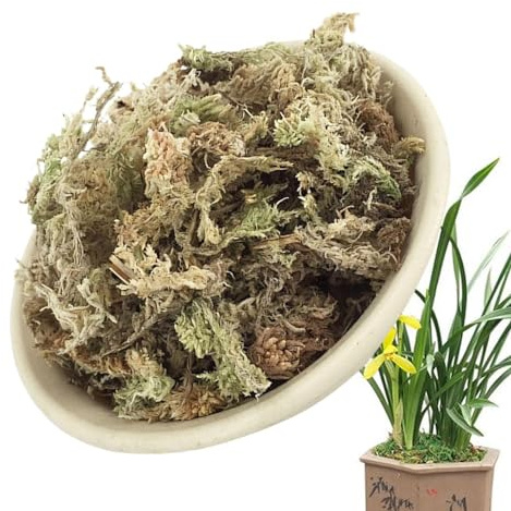 BommFu Orchideenmoos Zum Umtopfen | Natürliches Getrocknetes Moos Für Orchideen | Saftiges Moos Zum Umtopfen | Terrariendekoration - Topfblumen-Sphagnum Für Heimwerkerarbeiten