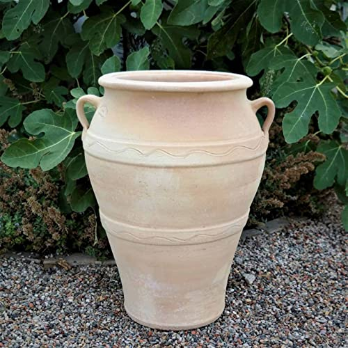 Palatina keramisk terrakotta amfora med handtag | 50 cm | frostbeständig keramik | högkvalitativt lerburk för trädgården Olea 50