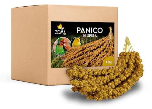 ZOMAPET spighe di panico per pappagalli 1Kg, mangime pappagalli naturale ideale anche per cocorite e uccelli esotici - Made in italy