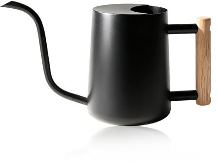 Bamworld Annaffiatoio da 35oz (1 Litro) per Piante da Interno in Acciaio Inossidabile - Annaffiatoio Piccolo per Interni, Esterni, Giardino e Fiori (Nero)