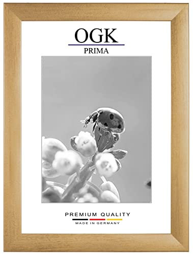 Online-GalleryKing Holz Bilderrahmen 82 x 122 cm in Gold gewischt | Foto | Poster | Puzzle | Galerie | Rahmen