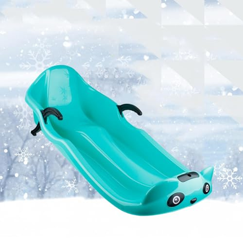 Children's Double Sled, Plastic Sled, Sled with Backrest, Double Armrest Brake Sled