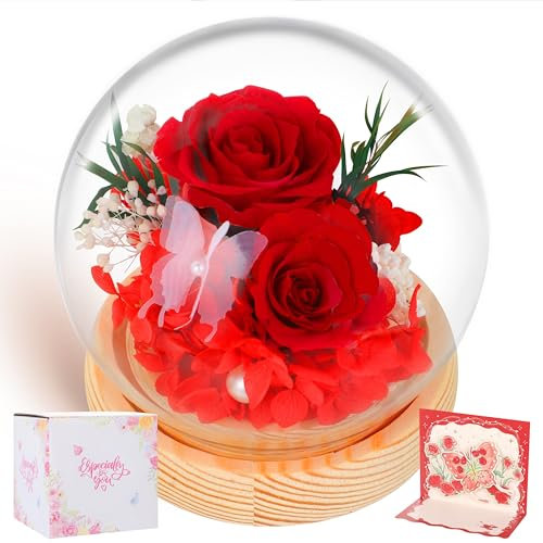 BoriYa Regalo Donna Rosa Stabilizzata, Rosa Eterna, Regali per Mamma, Rose Fiori Stabilizzati Vera, Piccole Rosà Stabilizzate Vere in Vetro con LED Luci, Idee Regali Lei per Compleanno, Anniversario
