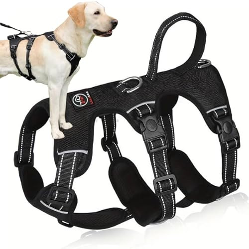 Lalazoo ELBA Sicherheitsgeschirr Hund ausbruchsicher – Verstellbares No-Pull Hundegeschirr gepolstert & reflektierend mit Griff & 6-Punkt-Verstellung – Robustes Anti-Ausbruch Geschirr – Schwarz, M
