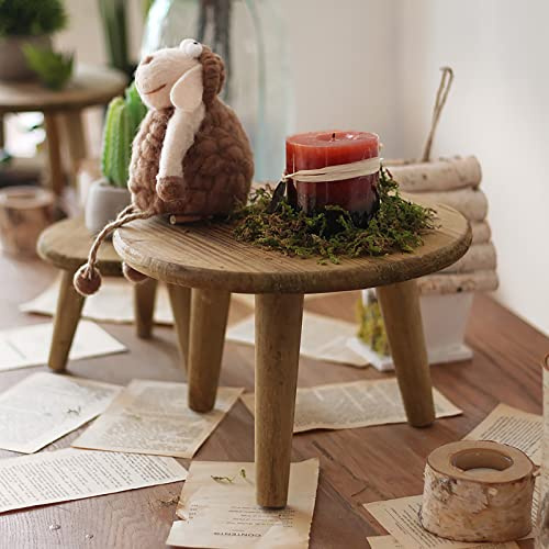 Goosacyon Mini Runder Holzhocker Kurz Holzhocker für Pflanzen Mini Holzhocker Display für Zuhause Terrasse Büro Garten Hotel Dekoration